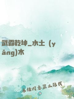 武霸乾坤