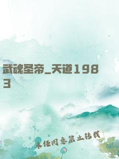 武魂圣帝