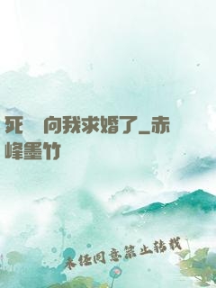 死對頭向我求婚了