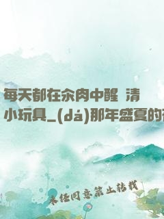 每天都在汆肉中醒來清小玩具