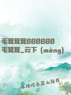 毛茸茸茸BBBBBB毛茸茸