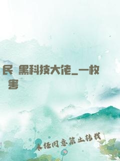 民間黑科技大佬