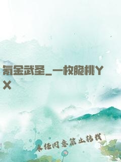 氪金武圣