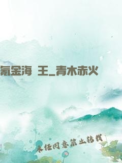 氪金海盜王