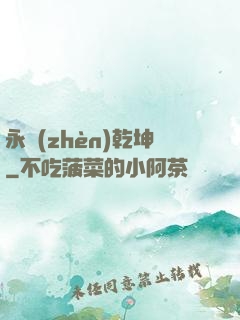 永鎮(zhèn)乾坤
