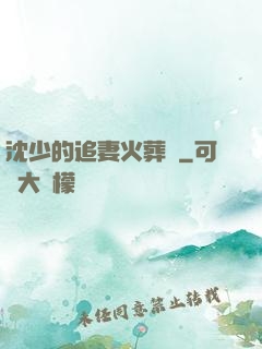 沈少的追妻火葬場