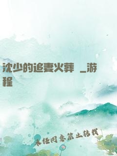 沈少的追妻火葬場