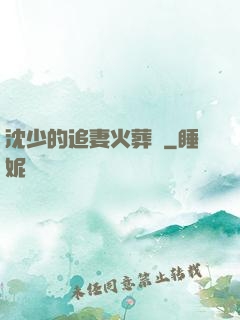 沈少的追妻火葬場
