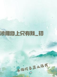 沙雕路上只有我