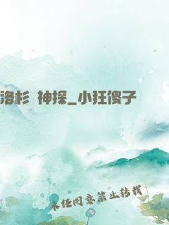洛杉磯神探