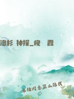 洛杉磯神探