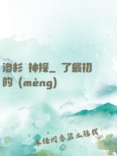 洛杉磯神探