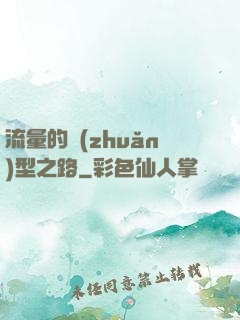 流量的轉(zhuǎn)型之路