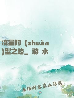 流量的轉(zhuǎn)型之路