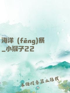 海洋風(fēng)暴
