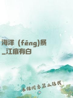海洋風(fēng)暴