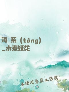 海盜系統(tǒng)