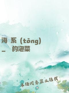 海盜系統(tǒng)