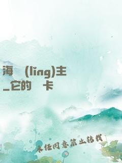 海盜領(lǐng)主