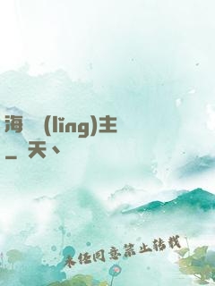 海盜領(lǐng)主