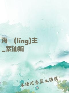 海盜領(lǐng)主