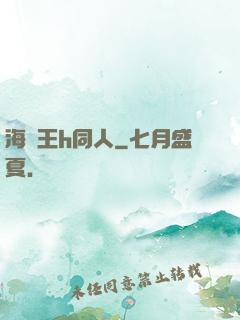 海賊王h同人