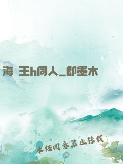 海賊王h同人