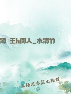 海賊王h同人