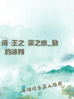 海賊王之劍豪之心