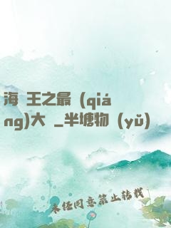 海賊王之最強(qiáng)大將