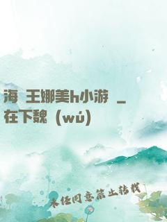 海賊王娜美h小游戲