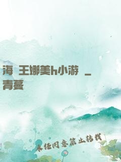 海賊王娜美h小游戲