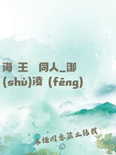 海賊王羅賓同人