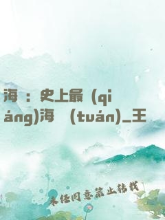 海賊：史上最強(qiáng)海賊團(tuán)