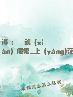海賊：將靈魂獻(xiàn)給魔鬼