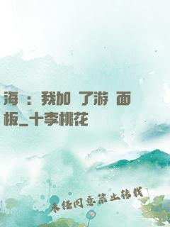 海賊：我加載了游戲面板