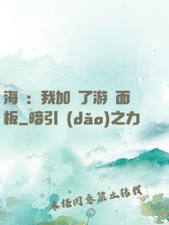 海賊：我加載了游戲面板