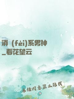 消費(fèi)系男神