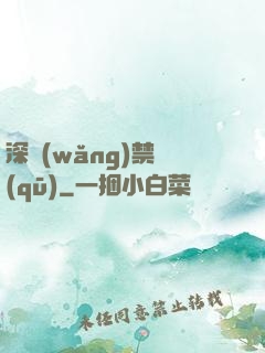深網(wǎng)禁區(qū)