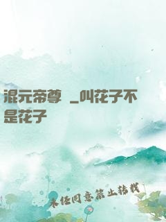 混元帝尊傳