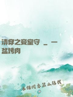 清穿之妾室守則