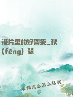 港片里的好警察