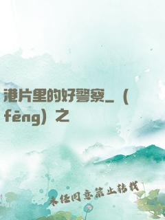港片里的好警察