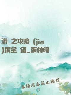 游戲之攻略進(jìn)度全滿值