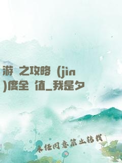 游戲之攻略進(jìn)度全滿值