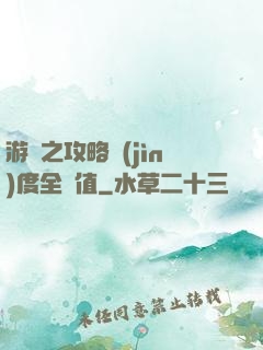 游戲之攻略進(jìn)度全滿值