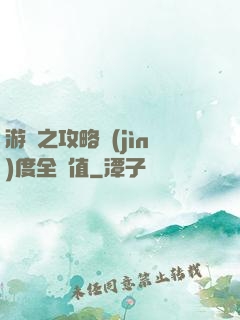 游戲之攻略進(jìn)度全滿值
