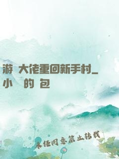 游戲大佬重回新手村