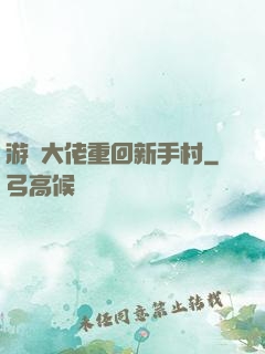 游戲大佬重回新手村
