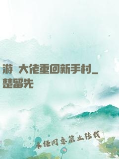 游戲大佬重回新手村
